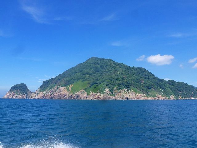 ���l�s�ό��ޑD�g��_���l�s�ό��ޑD�g��