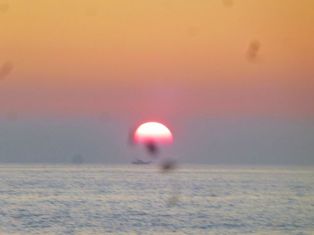 ���l�s�ό��ޑD�g��_���l�s�ό��ޑD�g��