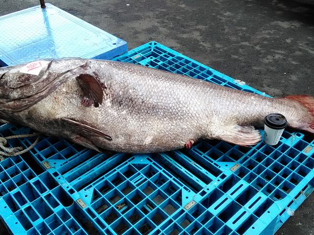 �L���E�}�X_���̉w �����l�݂Ȃ���