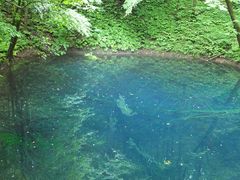 miyosiko̐rւ̓eʐ^1