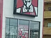 scott̃P^bL[tCh`LFs{cX̓eʐ^1