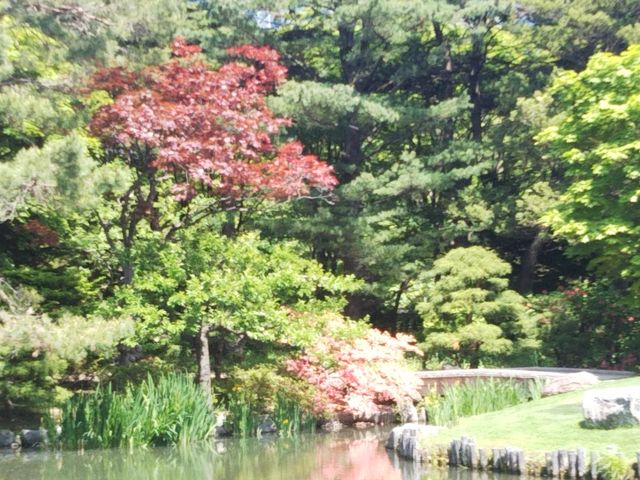 ���������{�뉀_��������