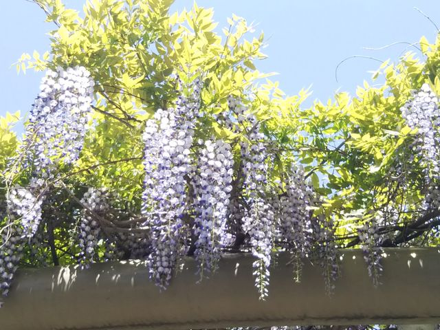 ��_��������