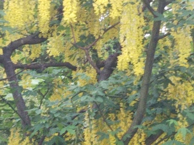 �L���O�T��_��������