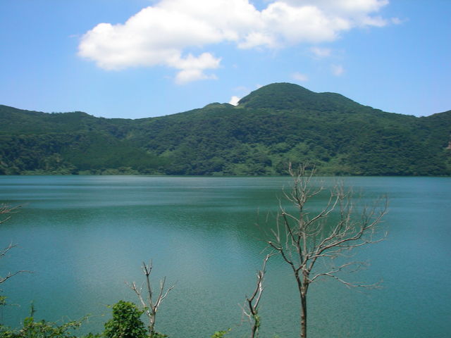 �V�r�ł��B_�V�r