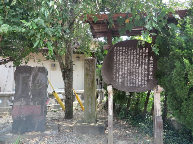 ���n���ē���_�D�����z�򌹌���