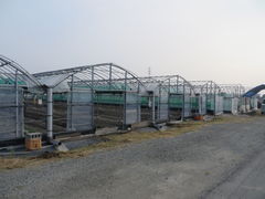 Ԃ񂳂̃zCgx[ւ̓eʐ^1