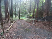 �Ԃ���񂳂�̑�J�k�J�̓��e�ʐ^1