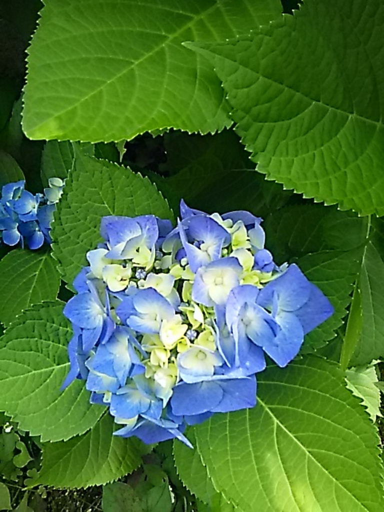 ひたち野うしく駅周辺の公園 庭園ランキングtop10 じゃらんnet