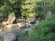 花ちゃんさんの清水瀑園の投稿写真3