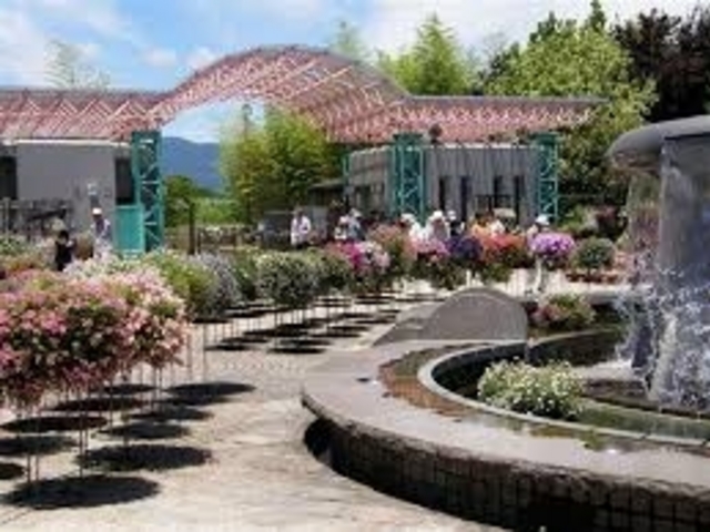 �ǂ����͋C_���Îs�������A�������݂��̐X