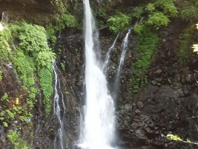 ���p�̃K���P�[�ŎB���������m��ł��B_�����m��