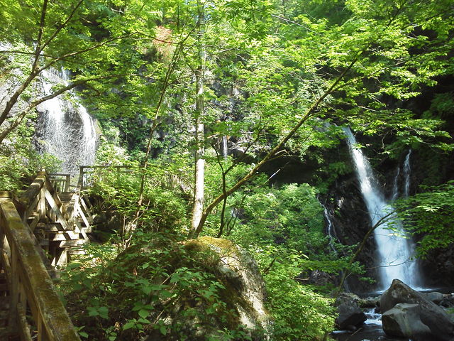 ���������ڋ߂��ĎB�����u��̑ꂪ�R���{�������i�v�͂܂�ŎR����̐��E�ł����B_�����m��