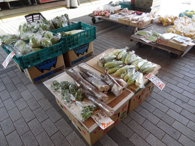 �Y���s������܂�_���̉w �u��E�D��