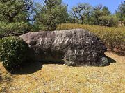 }[̋sSty MRR[X̓eʐ^1