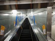 ̂̓`|[g^E ZV]w̓eʐ^1