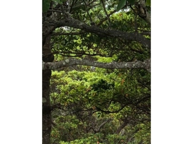 �厩�R_�����_���e���L��