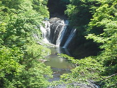 ��������񂳂�̐�����i���̑�j�ւ̓��e�ʐ^1