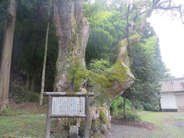 ���_��_������