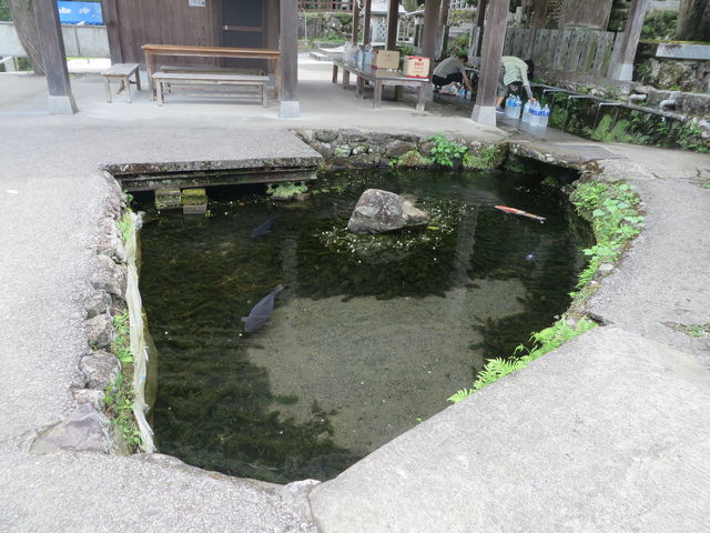 �r_������