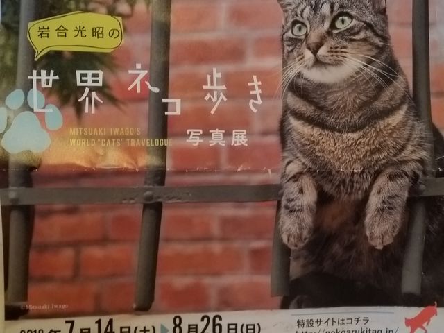 パンフレット_北九州市立美術館