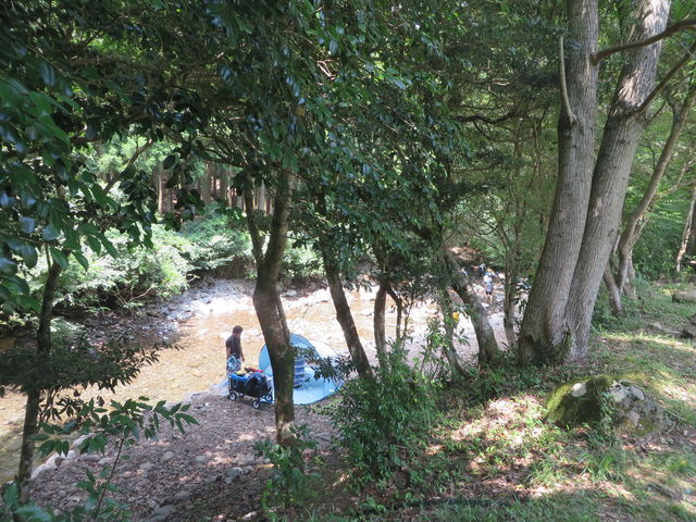 Ԃ񂳂̖q̌Lv̓eʐ^1