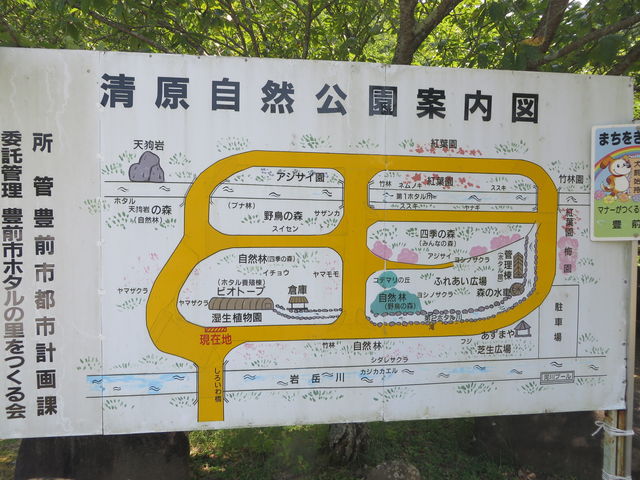 Ԃ񂳂̐Riz^̗j̓eʐ^3