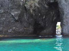 悧񂳂̏M̓AN[Yւ̓eʐ^1