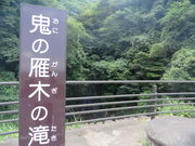 Ԃ񂳂̋S̊؂̑̓eʐ^2