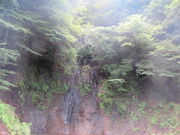 Ԃ񂳂̋S̊؂̑̓eʐ^3