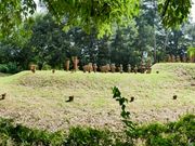 �܁`�ځ`����̑O��q�Õ��E����q�Õ��E���q�Õ��E����q�Õ��̓��e�ʐ^1