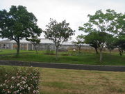 Ԃ񂳂̒z㒬AOp[Ni_ƌj̓eʐ^1