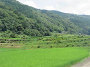 Ԃ񂳂̎}AWTCh̓eʐ^1