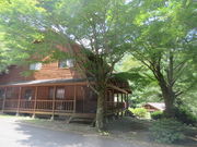 Ԃ񂳂̖q̌Lv̓eʐ^2