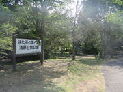 Ԃ񂳂̐Riz^̗j̓eʐ^2