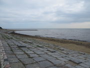 Ԃ񂳂̕l̋{Cݒ̓eʐ^3