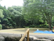 Ԃ񂳂̋񉀒n̓eʐ^1