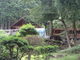花ちゃんさんの語らいの森　求菩提キャンプ場の投稿写真1
