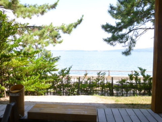 �C��������_�a�q����