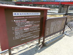 ���܂�����̕���r�ւ̓��e�ʐ^1