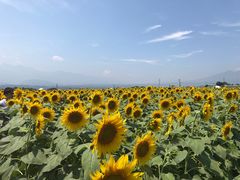 kota̎Rt[Z^[EnCW̑ւ̓eʐ^1