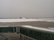 pikopiko̓̉w ̂ƗR`̓eʐ^1