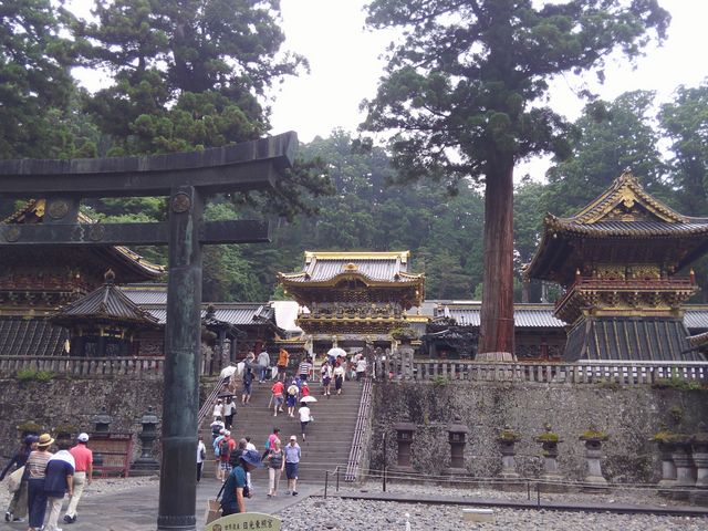�����O����_���Ƌ{ �z����