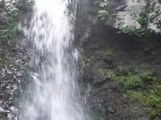 �t���X�s�[�h����̕z����̓��e�ʐ^1