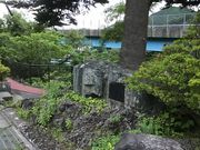 �������񂹂��A �_�C�G�b�g���������ł��B����̋g��E�̔�̓��e�ʐ^2