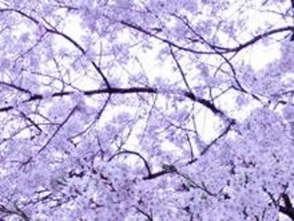 楡木駅周辺の動物園・植物園ランキングTOP10 - じゃらんnet