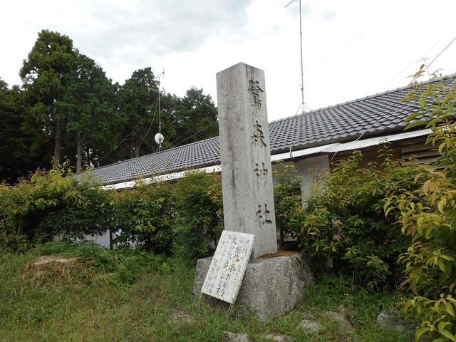 ����ƍ�����
_��X�_��