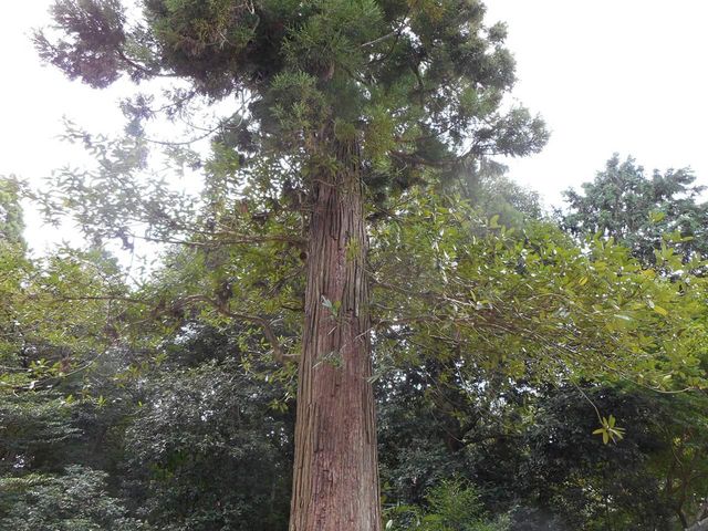 ��_�؁H_��X�_��