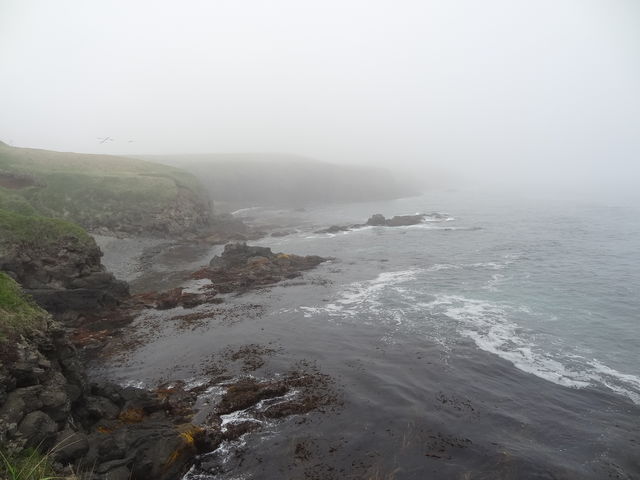 �V�������猩����C��_�����Ԑ�