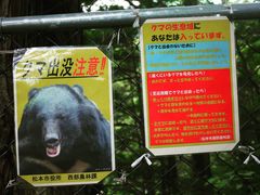 ĂӂĂӂ̔ԏւ̓eʐ^1